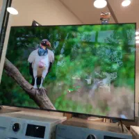 تلویزیون 75 اسنوا اقساط 15 ماهه|تلویزیون و پروژکتور|شازند, |دیوار