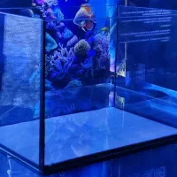 آکواریوم ریم‌لس Ocean Tiny