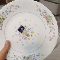 آرکوپال ویکتوریای فرانسه اصل|ظروف سرو و پذیرایی|قزوین, |دیوار