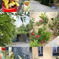 ویلا باغ در مجاورت رودخونه توریستی چیتاب|اجارهٔ کوتاه‌مدت ویلا و باغ|یاسوج, |دیوار