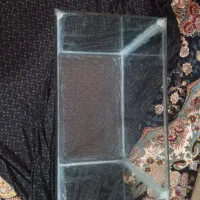 آکواریوم ماهی|ماهی|تربتحیدریه, سرمحله|دیوار