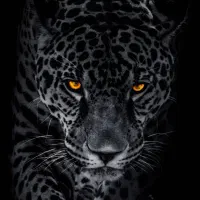 ردمی نوت 8t 128 6