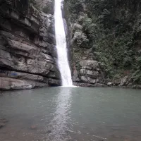 پارتنر پیاده روری