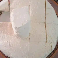 ماست و پنیر شیر محلی