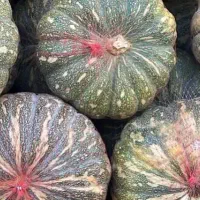 صادرات وفروش میوه وتره بار