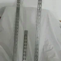 پایه و ستون رگال به همراه شاخک رگال