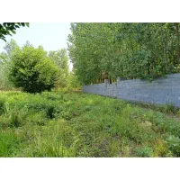 زمین ۲۶۰ متری باغ داخل طرح خمام کلاچاه اول