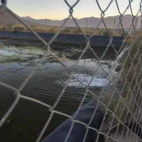 80جریب زمین کشاورزی واقع در دهاقان|فروش دفتر صنعتی، کشاورزی، تجاری|دهاقان, |دیوار