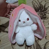 خرگوش عروسک