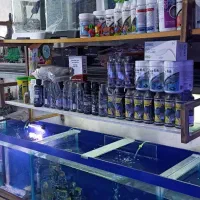 ماهی و آکواریوم