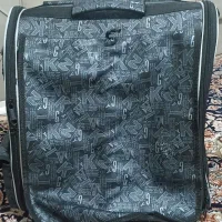 عروس هلندی|پرنده|آستارا, |دیوار