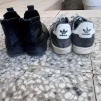 کفش|کیف، کفش، کمربند|سیرجان, |دیوار