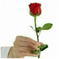 مشاوره حقوقی رایگان با وکیل کارگشا