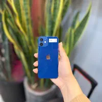 12mini