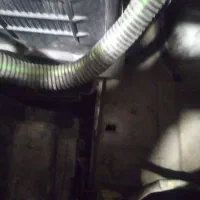 خودروsd tu5 v2|خودرو سواری و وانت|مشهد, تربیت (صدف)|دیوار