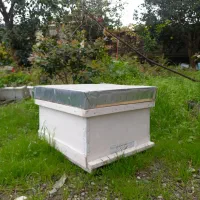 فروش کندو طبق مصنوعات چوبی|عمده‌فروشی|رامسر, |دیوار