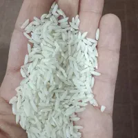برنج|خوردنی و آشامیدنی|رباط‌کریم, رباط‌کریم|دیوار
