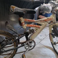 دوچرخه|دوچرخه، اسکیت، اسکوتر|قرچک, شهرک طلائیه|دیوار