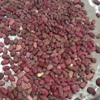 باسلام لوبیا قرمزبدون کود