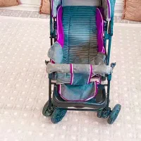 کالسکه سالم