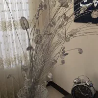 آباژور کنار سالنی