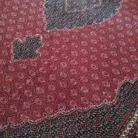 فرش|فرش|بروجرد, |دیوار
