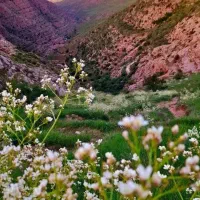 تور تفریحی شاد شاد یکروزه شاهرک دربادام