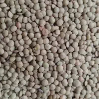 خشکباری ارزانکده مرغوب|خوردنی و آشامیدنی|شیراز, دست خضر|دیوار