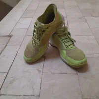 کفش اصل سایز 43