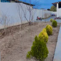 کاشت گل وگیاه درخت هرس رسیدگی به خاک باغچه