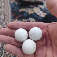 سنگ آسیاب