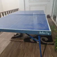 میز پینگ پنگ|ورزشهای توپی|طرقبه, |دیوار