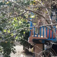 خانه سنتی|اجارهٔ کوتاهمدت ویلا و باغ|لنگرود, |دیوار