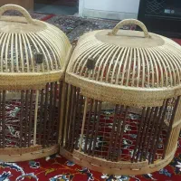 قفس کبک، بلدرچین،طوطی،چوبی