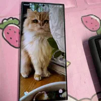 سامسونگ s22 ultra|موبایل|تهران, شهرآرا|دیوار