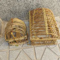قفس کبک و پرنده