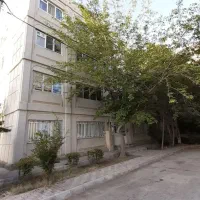 هلدینگ-گلها-مرکز-اصلی-شهر-محله-یک