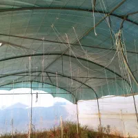 گل خانه