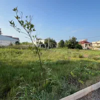 ۲۹۷ متر زمین مسکونی( پشت پارک جنگلی)تاپ لوکیشن شهر|فروش زمین و ملک کلنگی|کیاشهر, |دیوار