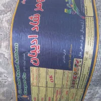 فروش دوعددفرش شش متری نواصلن استفاده نشده|فرش|رشت, آب آسیاب|دیوار