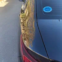 فروش تارا دنده ای ۵ دنده|خودرو سواری و وانت|قم, شهرک توانیر|دیوار