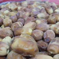 خرمای زاهدی(قسب) سوپر لوکس تضمینی،|عمده‌فروشی|ارم, |دیوار