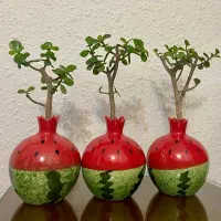 گلدان اناری یلدایی با گل طبیعی کراسولا