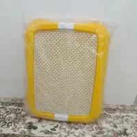 خانه سگ و قلاده