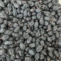 فروش جزئی انجیر گردو حبوبات کشمش افتابی مویز