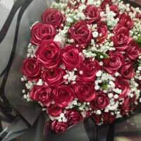 گل ربانی به قیمت عمده