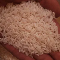 برنج علی کاظمی میانه
