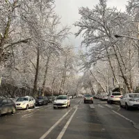 مغازه بر اصلی نظام آباد