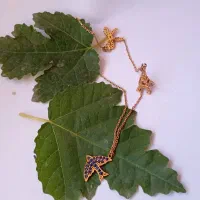 گوشواره،زنجیر، پابند،انگشتر