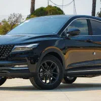 حواله دیگنیتی خشک